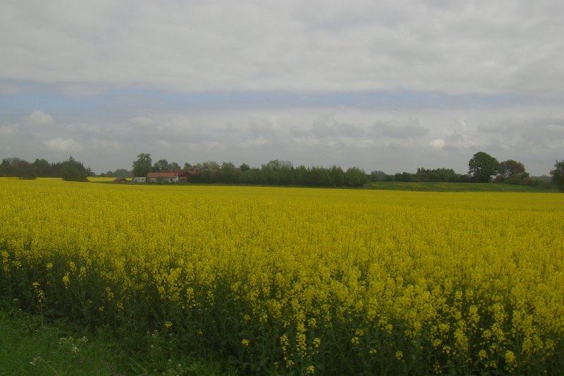 Kopenhagen-Tour 475